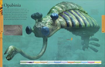 Dinosaurs A Children's Encyclopedia