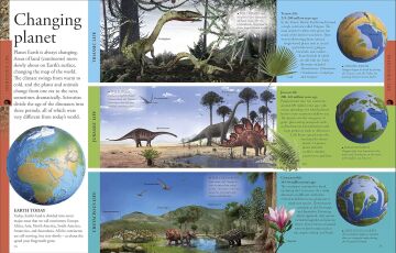 Dinosaurs A Children's Encyclopedia