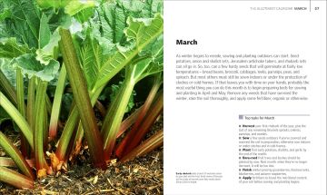 Allotment Month By Month: Grow your Own Fruit and Vegetables, Know What to do When