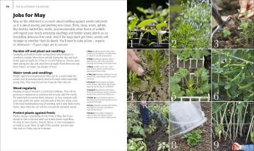 Allotment Month By Month: Grow your Own Fruit and Vegetables, Know What to do When