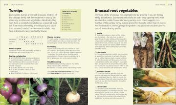 Allotment Month By Month: Grow your Own Fruit and Vegetables, Know What to do When