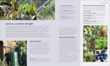 Allotment Month By Month: Grow your Own Fruit and Vegetables, Know What to do When