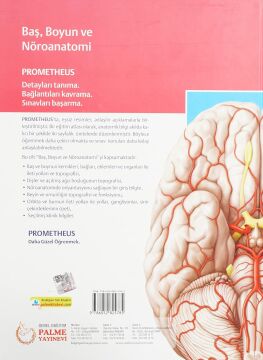 Prometheus Anatomi Atlası Cilt 3 (Baş, Boyun Ve Nöroanatomi)