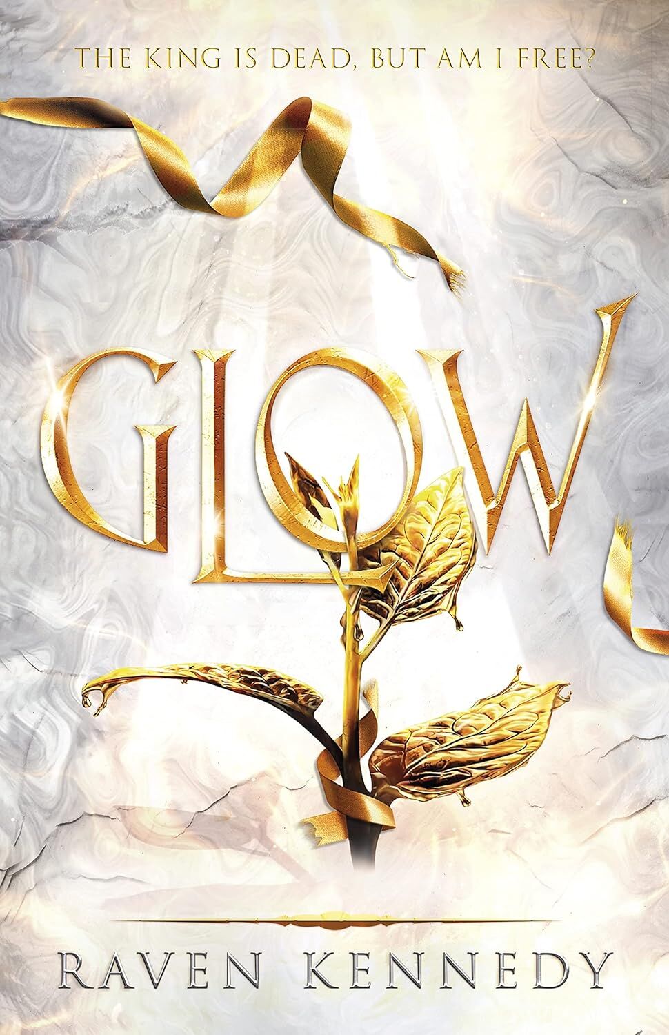 Glow: The dark fantasy TikTok sensation that's sold over a million copies: 4