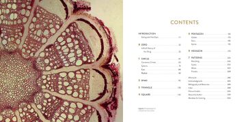 The Mandala Book: Patterns of the Universe