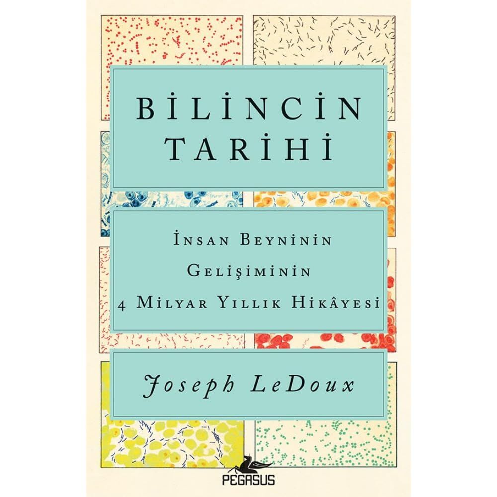 Bilincin Tarihi: İnsan Beyninin Gelişiminin 4 Milyar Yıllık Hikayesi
