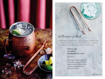 Vodka Cocktails: More Than 40 Recipes for Delicious Drinks to Fix at Home