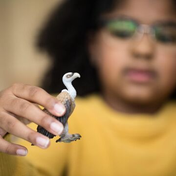 Schleich Akbaba