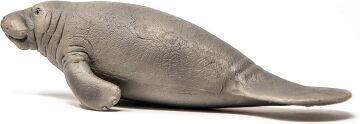Schleich 14839 Deniz Ayısı