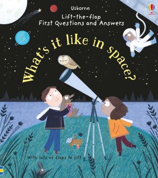 Daynes, K: What's it Like in Space? (Lift-the-Flap First Questions and Answers)