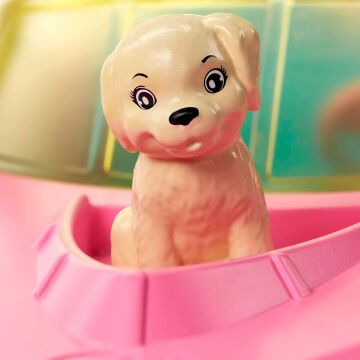Barbie Bebek ve Teknesi Oyun Seti, 3 yaş ve üzeri, GRG30