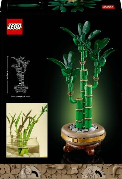 LEGO Botanicals Şans Bambusu 10344 – Yetişkin Kadın ve Erkekler için Bambu Sapları, Çakıl Taşları ve Ahşap Efektli Saksı İçeren Dekoratif Bitki Seti, Ev ve Ofis Dekorasyonu Hediye Fikri (325 Parça)