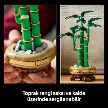 LEGO Botanicals Şans Bambusu 10344 – Yetişkin Kadın ve Erkekler için Bambu Sapları, Çakıl Taşları ve Ahşap Efektli Saksı İçeren Dekoratif Bitki Seti, Ev ve Ofis Dekorasyonu Hediye Fikri (325 Parça)