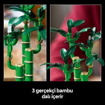 LEGO Botanicals Şans Bambusu 10344 – Yetişkin Kadın ve Erkekler için Bambu Sapları, Çakıl Taşları ve Ahşap Efektli Saksı İçeren Dekoratif Bitki Seti, Ev ve Ofis Dekorasyonu Hediye Fikri (325 Parça)