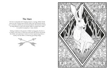 Mystic Animals: Colour your creature companions