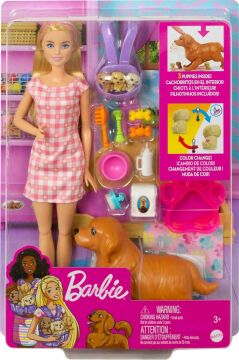 Barbie ve Yeni Doğan Köpekler Oyun Seti, 3 yaş ve üzeri, HCK75