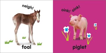 DK - Baby Touch and Feel Baby Animals