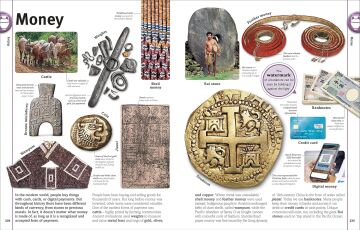 Our World in Pictures: An Encyclopedia of Everything