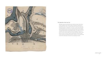 The Beautiful Brain: The Drawings of Ramon y Cajal: The Drawings of Santiago Ramon y Cajal