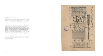 The Beautiful Brain: The Drawings of Ramon y Cajal: The Drawings of Santiago Ramon y Cajal