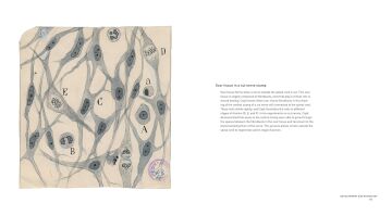 The Beautiful Brain: The Drawings of Ramon y Cajal: The Drawings of Santiago Ramon y Cajal