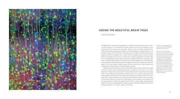 The Beautiful Brain: The Drawings of Ramon y Cajal: The Drawings of Santiago Ramon y Cajal
