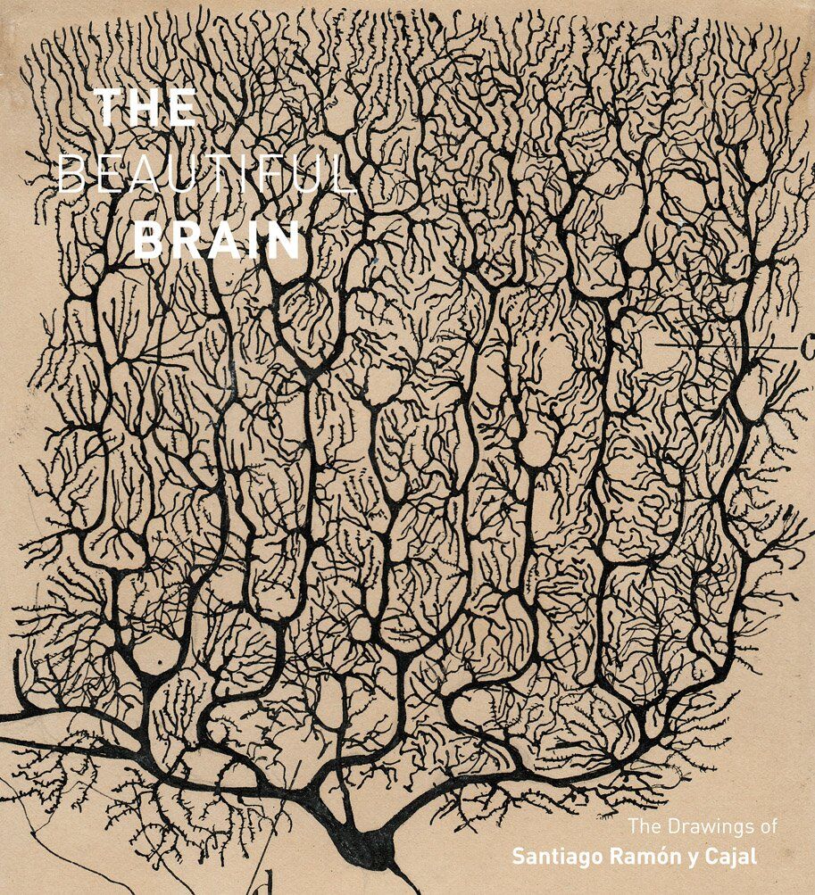 The Beautiful Brain: The Drawings of Ramon y Cajal: The Drawings of Santiago Ramon y Cajal