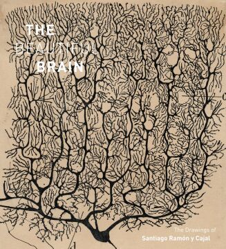 The Beautiful Brain: The Drawings of Ramon y Cajal: The Drawings of Santiago Ramon y Cajal