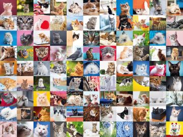 Ravensburger 1500p Puz 99 Kedi, Çok Renkli