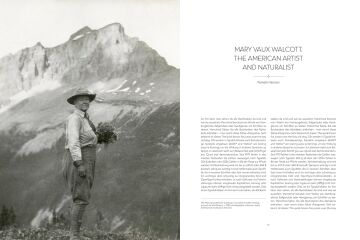 Wild Flowers of North America: Botanical Illustrations by Mary Vaux Walcott
