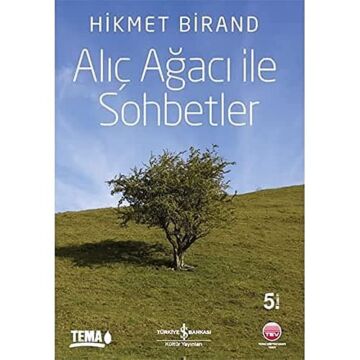 ALIÇ AĞACI İLE SOHETLER