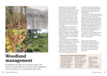Woodland Craft Handbook