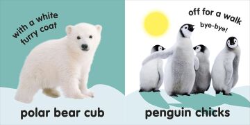 Baby Touch and Feel Fluffy Animals