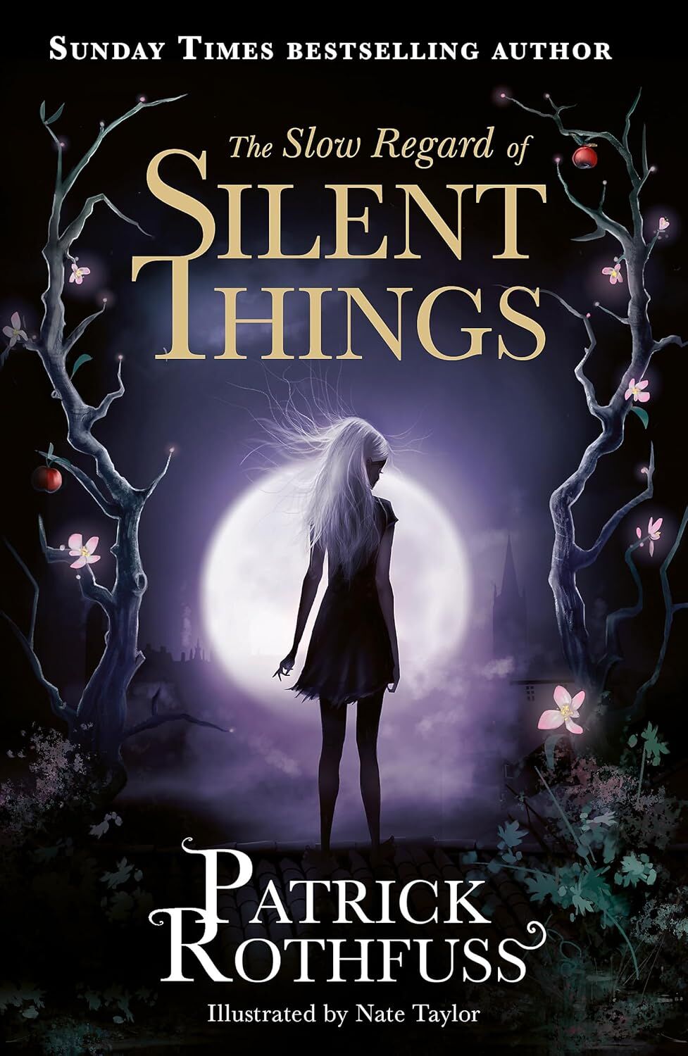 The Slow Regard of Silent Things: A Kingkiller Chronicle Novella