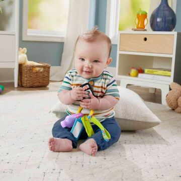 Fisher-Price Lnl Eğlenceli Aktivite Anahtarı, Oyuncak