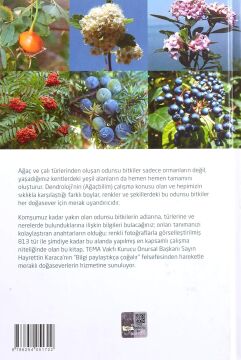 Türkiyenin Bütün Ağaçları ve Çalıları