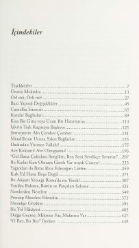 Kokular Kitabı - IV (Ciltli): Lezzetler