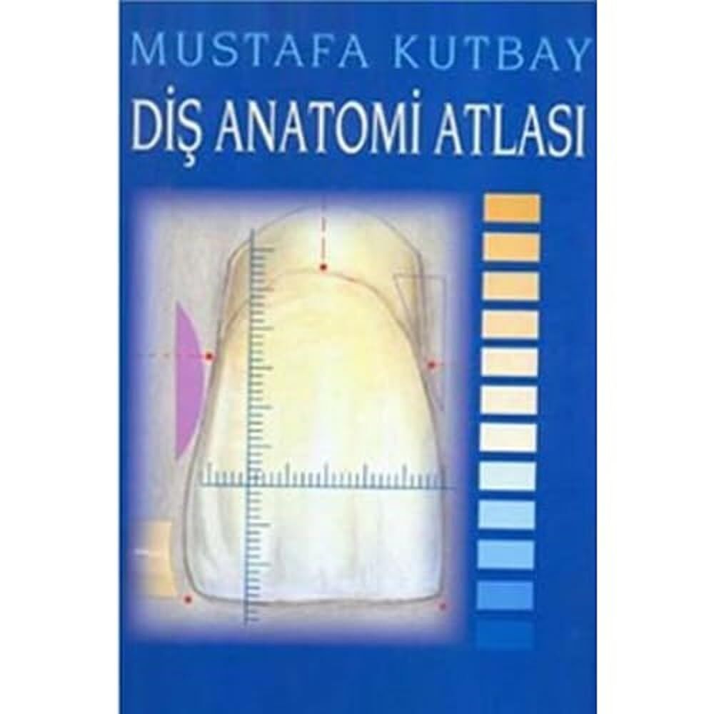 Diş Anatomisi Atlası