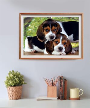 Clementoni 500 Parça Yüksek Kaliteli Koleksiyon Puzzle Close Together (Compact Box)