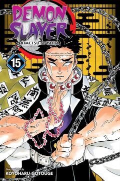 Demon Slayer: Kimetsu no Yaiba, Vol. 15: Volume 15
