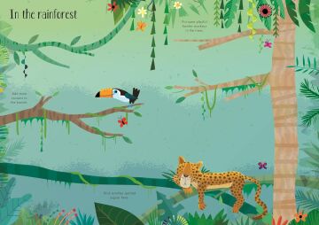 Little First Stickers Animals