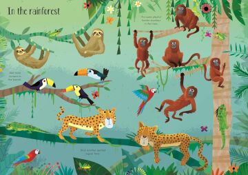 Little First Stickers Animals