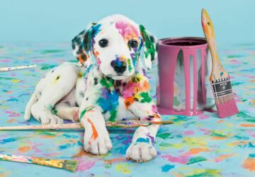 CLEMENTONI 500 el. Compact The Funny Dalmatian [PUZZLE]