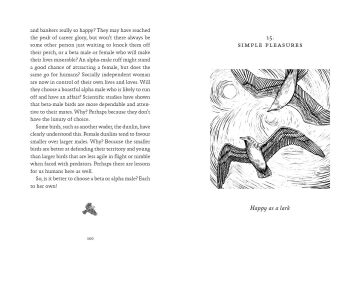 A Short Philosophy of Birds