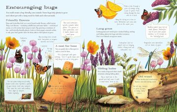 The Usborne Outdoor Book: 1