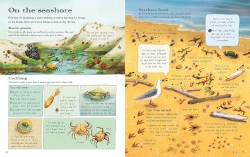 The Usborne Outdoor Book: 1