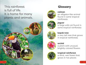 DK Super Readers Pre-Level Into the Rainforest