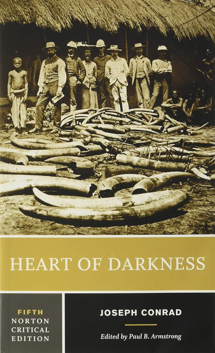 Heart of Darkness: A Norton Critical Edition: 0