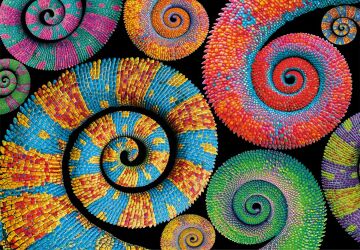CLEMENTONI 500 el. Compact colorboom Curly Tails 35529 [PUZZLE]