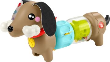 Fisher-Price Köpekçikle Eğlenceli Aktiviteler, Oyuncak